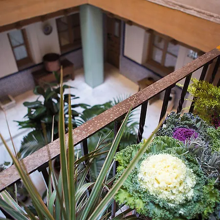 فندق Pintor El Greco 4*